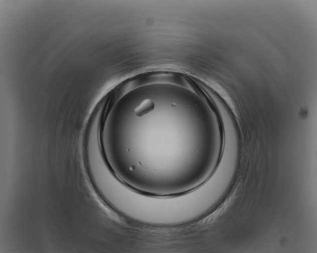 X0000094780989200711241335