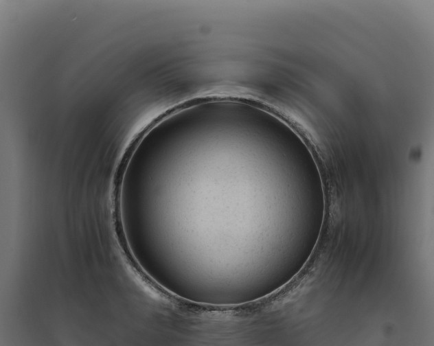 X0000094780990200711241335