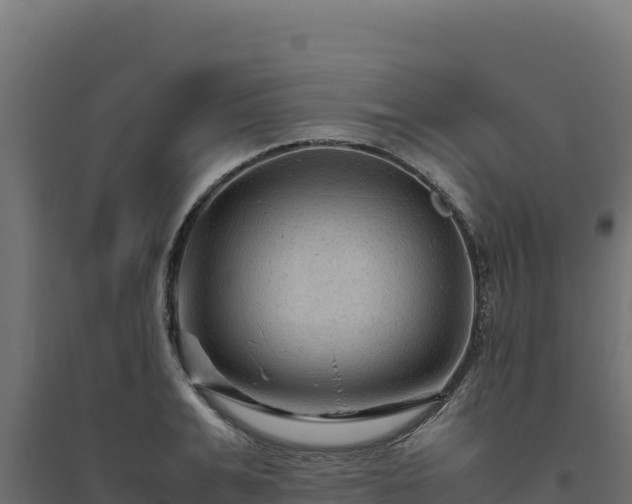 X0000094780991200711241335