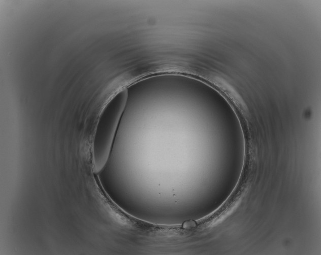 X0000094780993200711241335