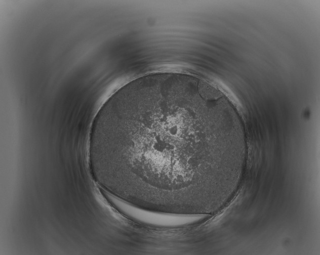 X0000094780994200711241335