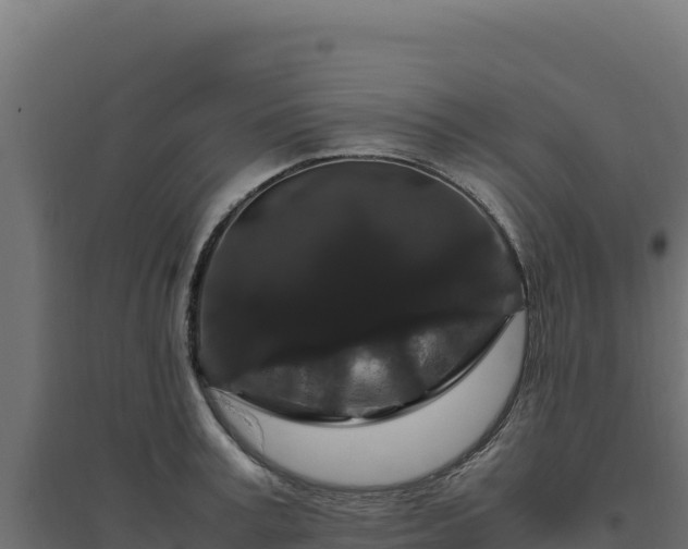 X0000094780995200711241335