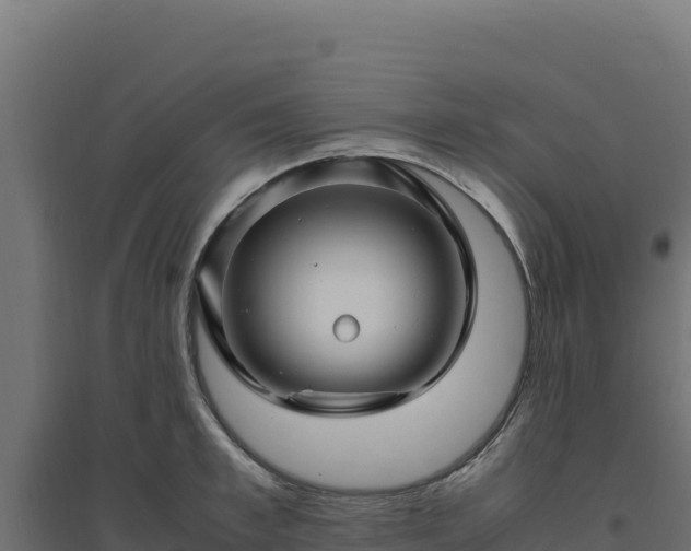 X0000094780997200711241335