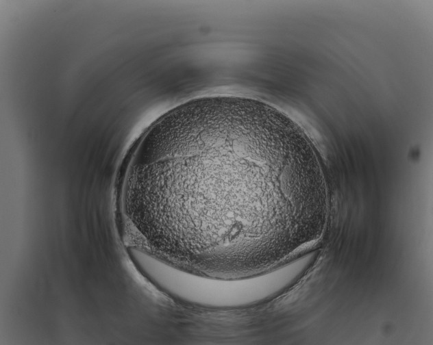 X0000094780998200711241335