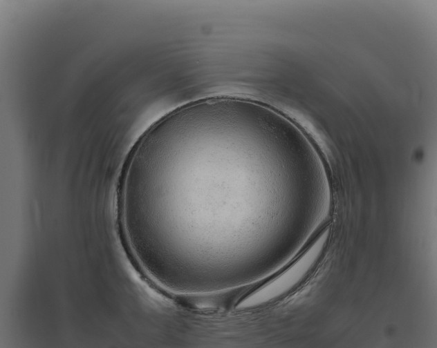 X0000094780999200711241335