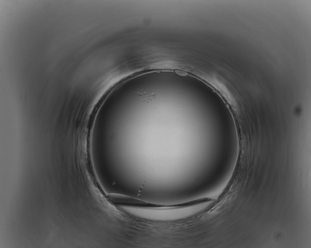 X0000094781000200711241335