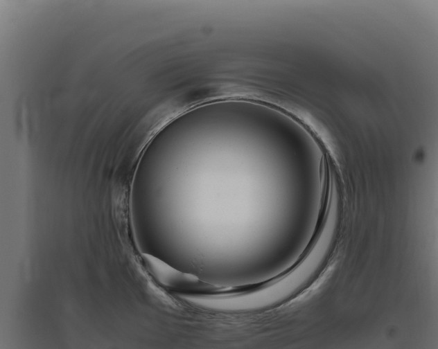 X0000094781001200711241335