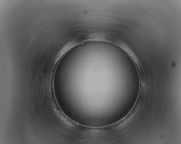 X0000094781002200711241335