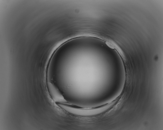X0000094781004200711241335