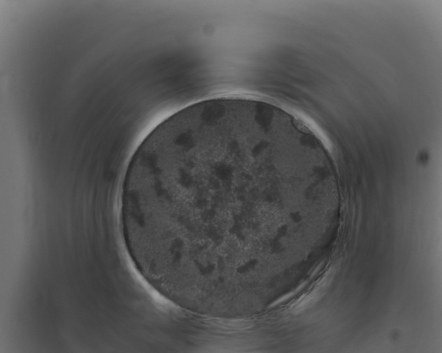 X0000094781007200711241335