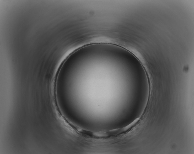 X0000094781008200711241335