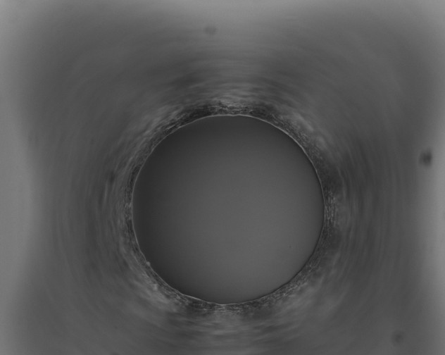 X0000094781009200711241334