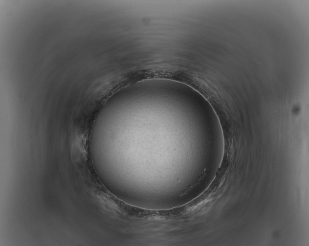 X0000094781010200711241334