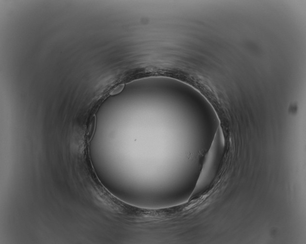 X0000094781012200711241334