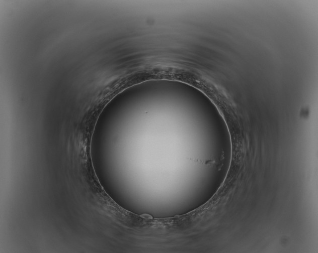 X0000094781013200711241334
