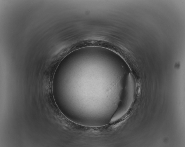 X0000094781014200711241334