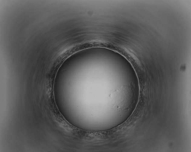 X0000094781015200711241334