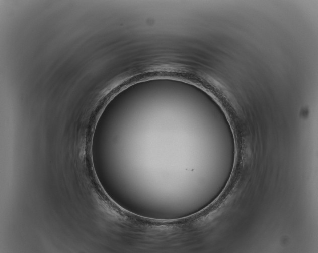 X0000094781017200711241334