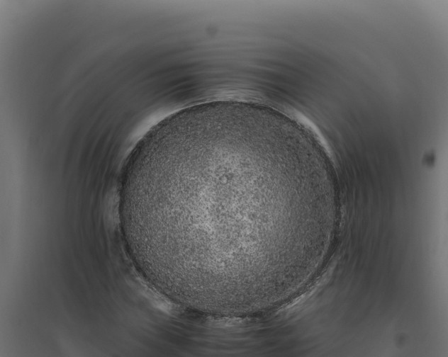 X0000094781019200711241334