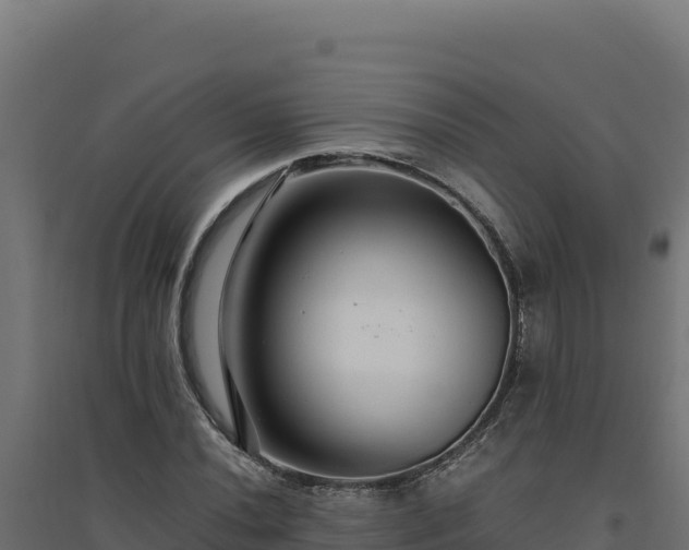 X0000094781020200711241334