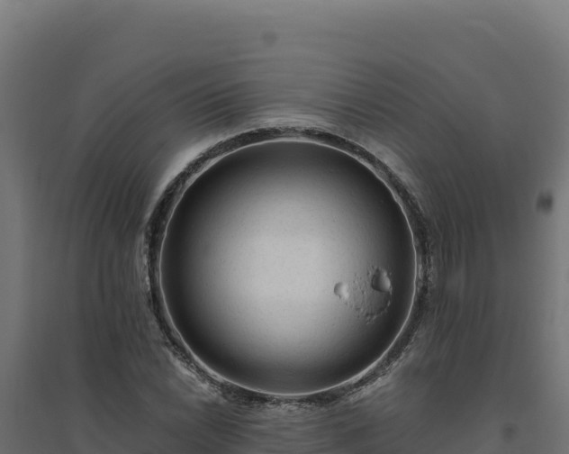 X0000094781022200711241334