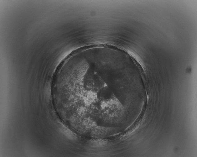 X0000094781023200711241334