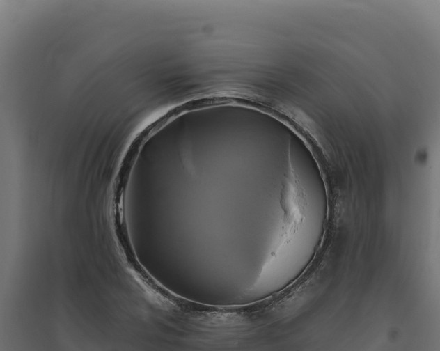 X0000094781024200711241334