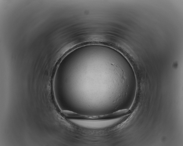X0000094781025200711241334