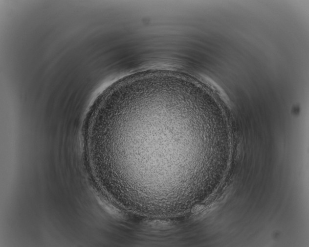 X0000094781027200711241334