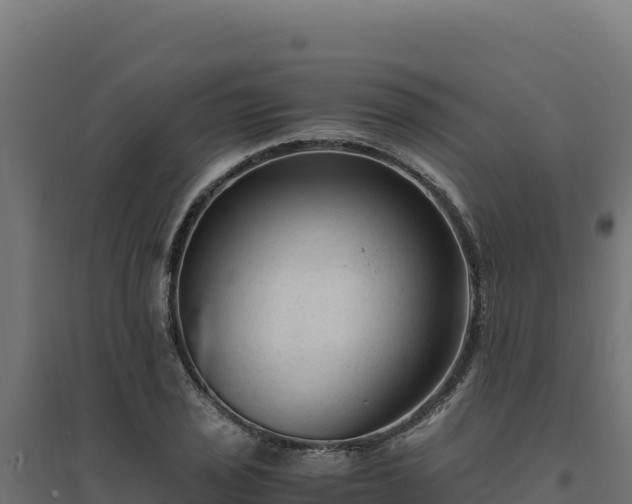 X0000094781029200711241334