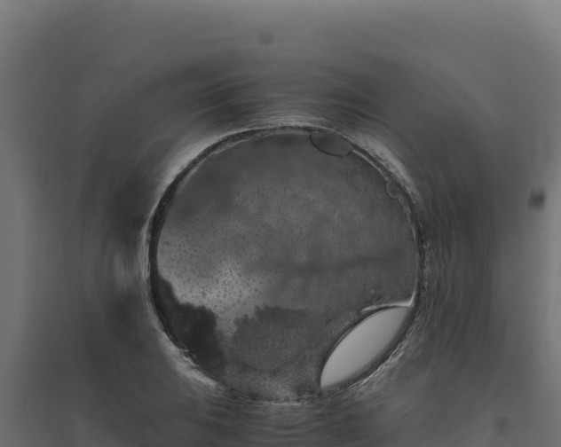 X0000094781031200711241334