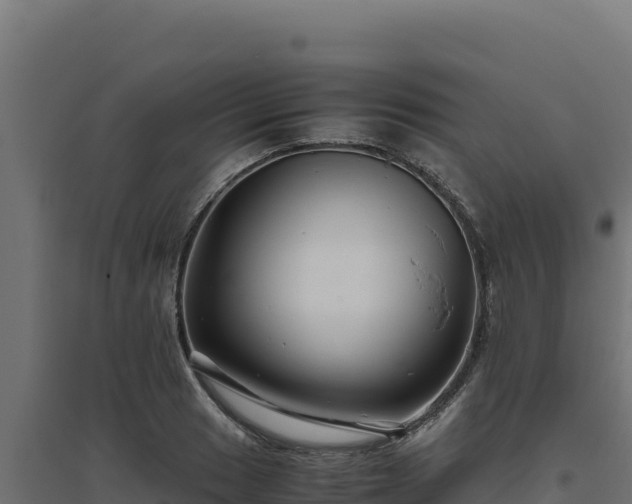 X0000094781033200711241334