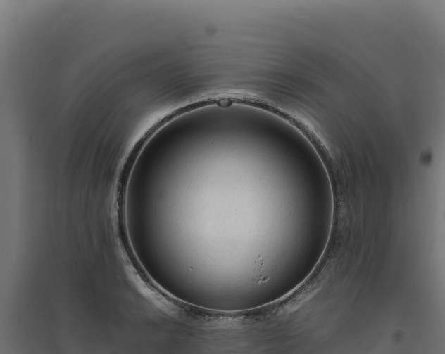 X0000094781038200711241334