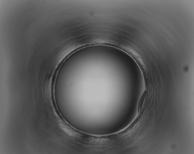 X0000094781039200711241334