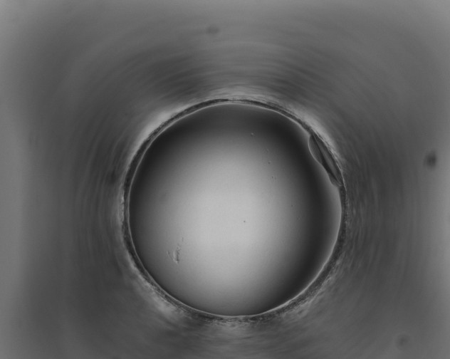 X0000094781040200711241334