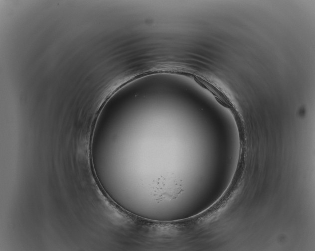 X0000094781041200711241334