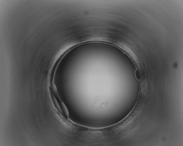 X0000094781043200711241334