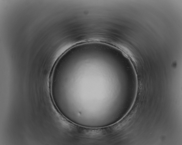 X0000094781047200711241334
