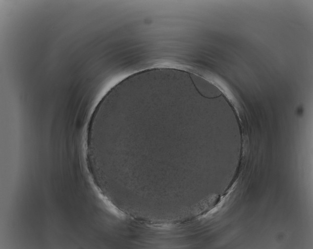 X0000094781048200711241335