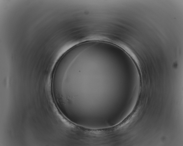 X0000094781053200711241335