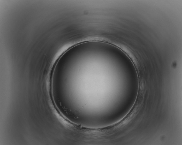 X0000094781054200711241335