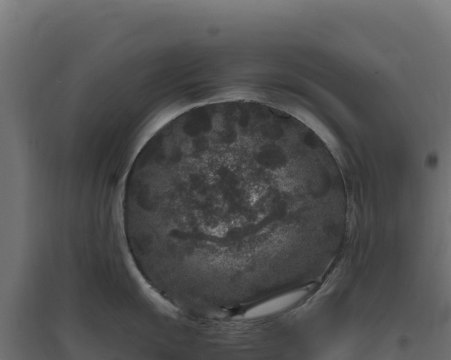 X0000094781055200711241335