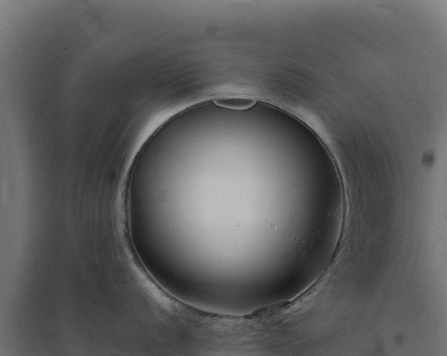 X0000094781056200711241335