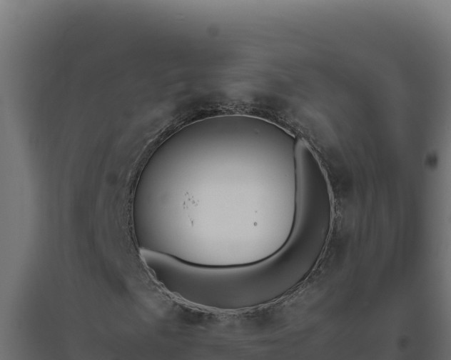 X0000094781057200711241334