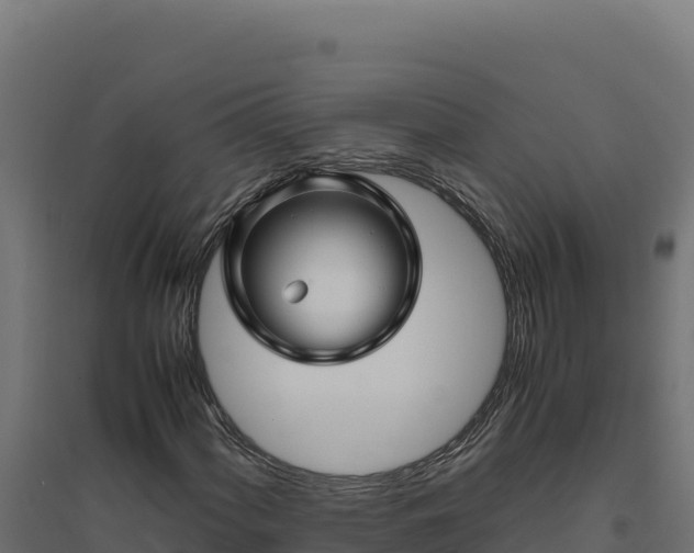 X0000094781060200711241334