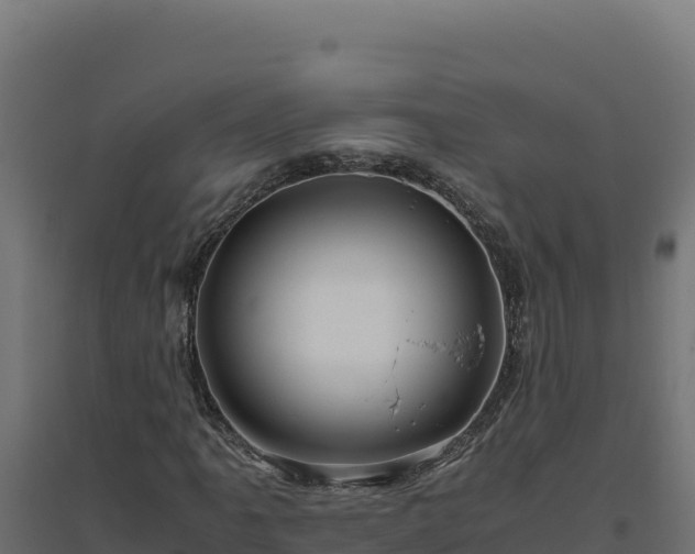 X0000094781061200711241334