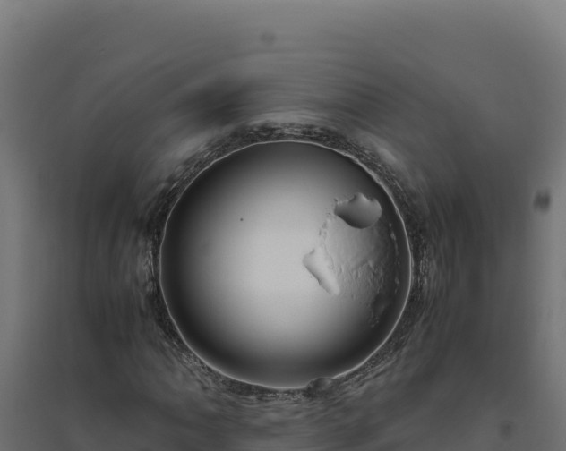 X0000094781062200711241334