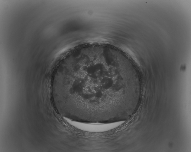X0000094781063200711241334