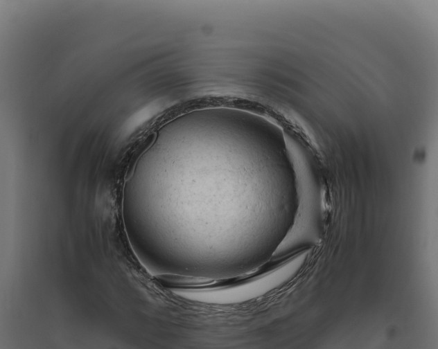X0000094781064200711241334