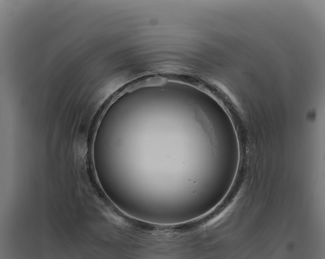 X0000094781065200711241334
